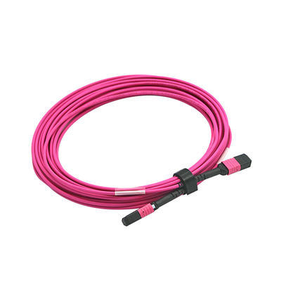 MTP Trunk Cable Assembly 2M Length with Corning ClearCurve for High Bandwidth Data Transmission